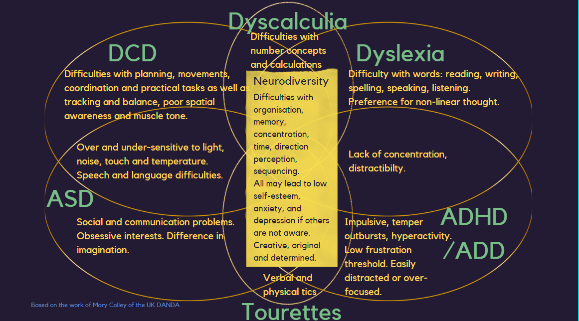 infographic about dyslexia, dyscalculia, ASD, DCD, ADHD, ADD, Tourettes